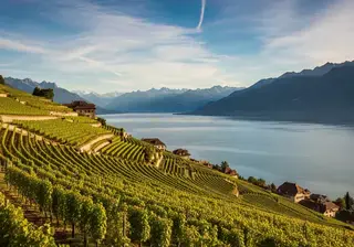 Suisse