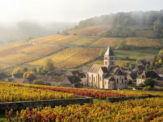 Beaujolais
