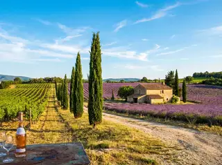 Provence